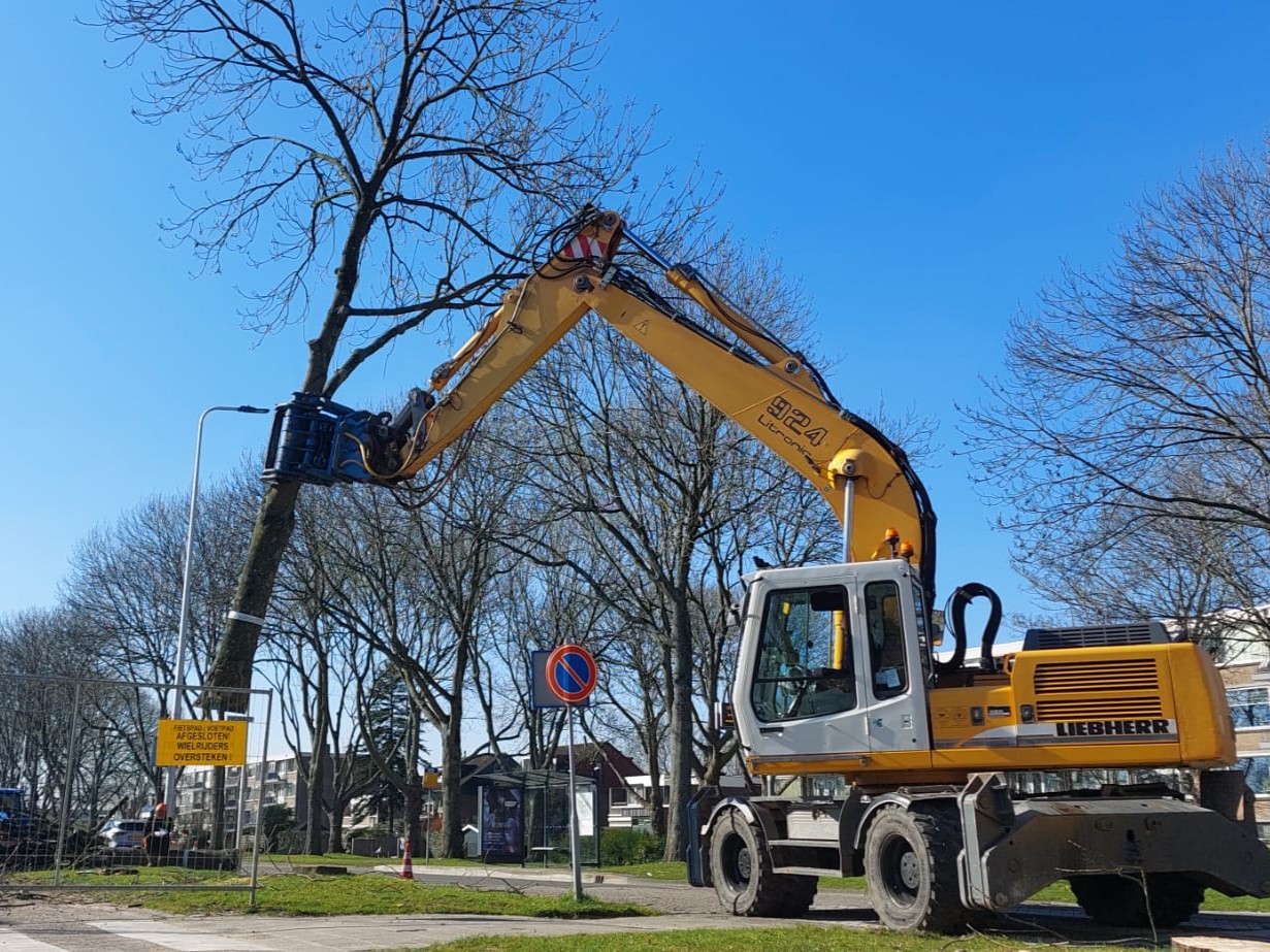 Ta bort träd längs&nbsp;vägen.