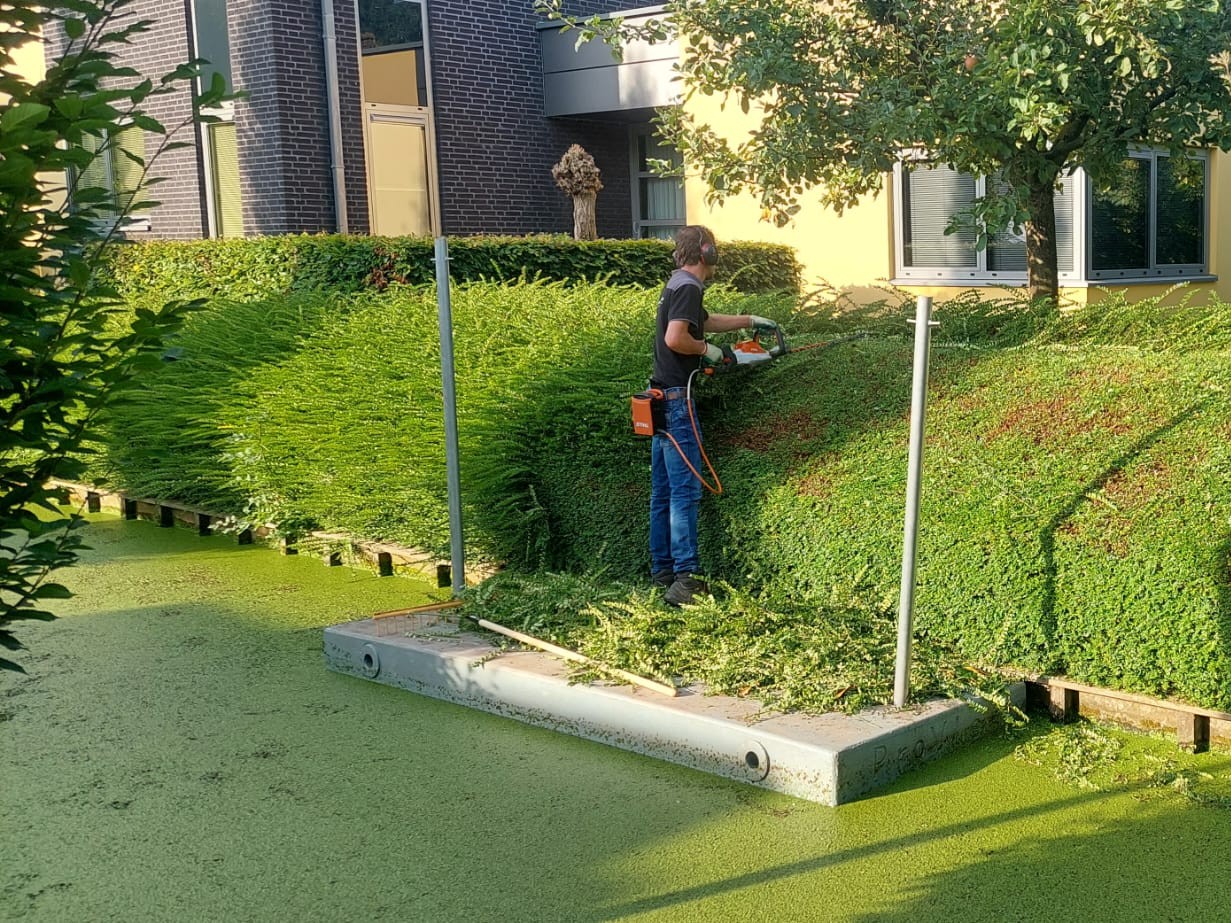 Beskärning av buskar med en&nbsp;ponton.