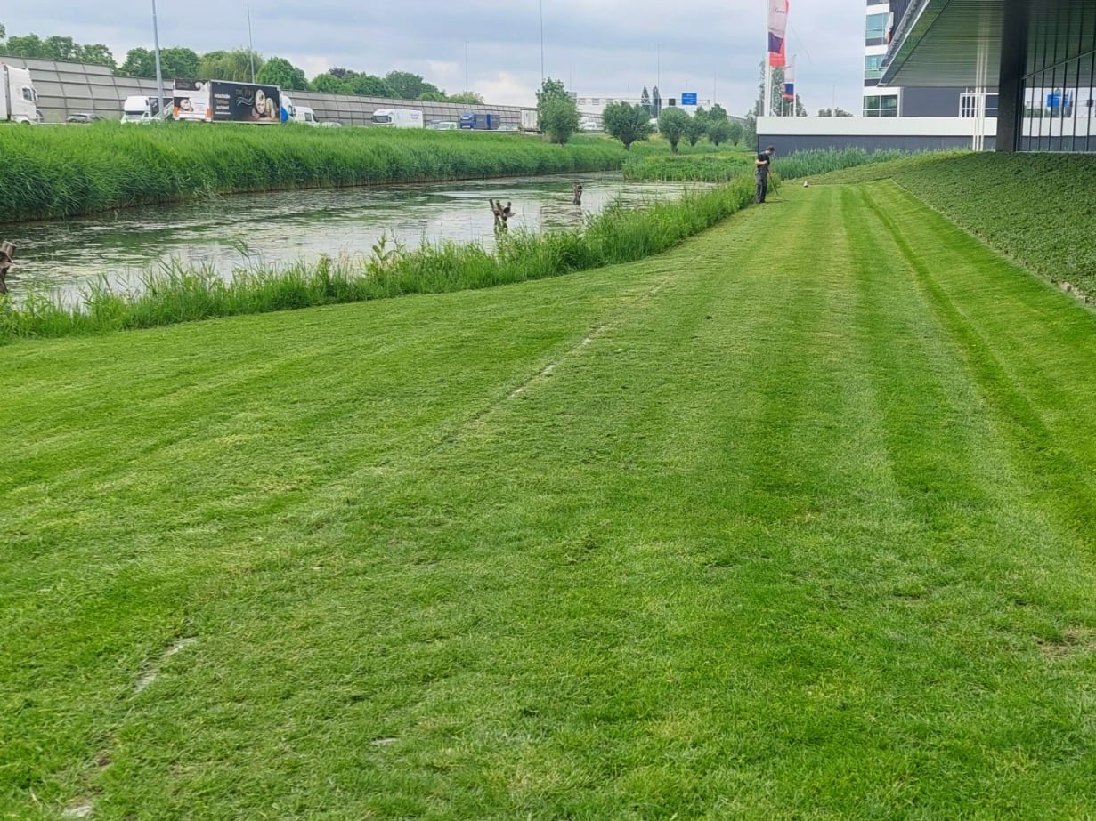 Gräsmatta underhåll på&nbsp;kontorsbyggnad.