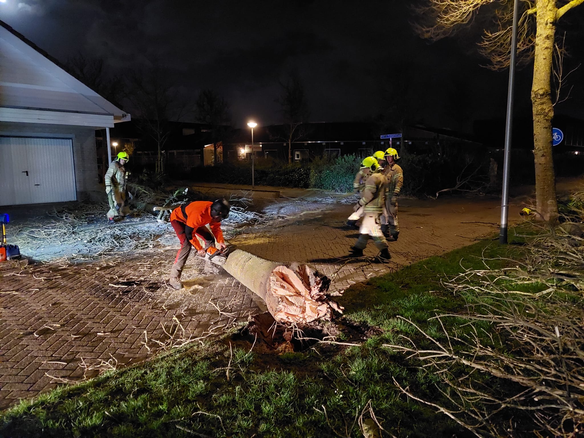 Ta bort stormskadade fallna träd i&nbsp;stadsområden.